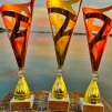 Војнотехнички институт освојио бронзану медаљу на трци „BUSINESS RUN“ у Суботици